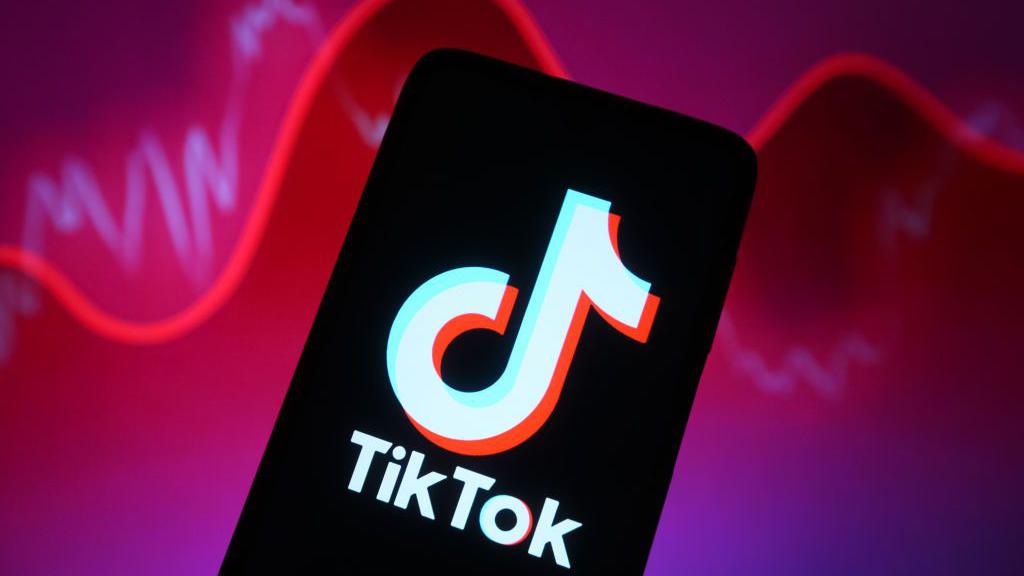 TikTok群发系统：实现多账号批量发送提升引流效率