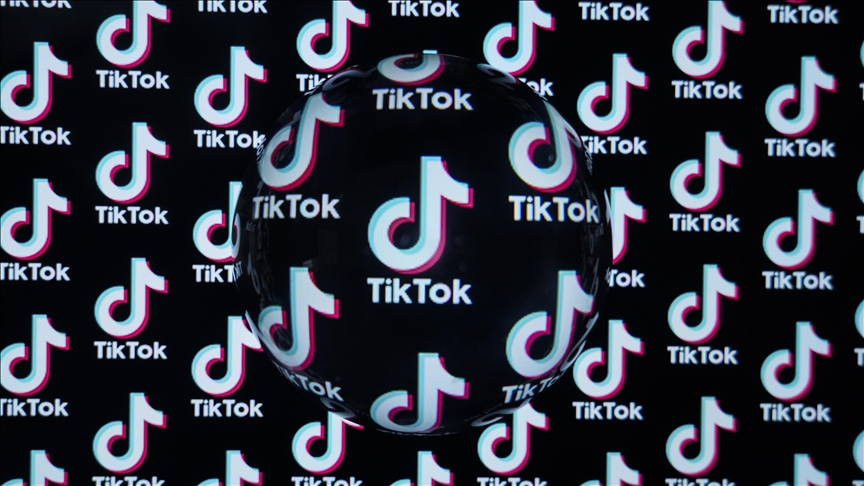 TikTok养号系统怎么用？新手快速打造高权重账号的秘籍