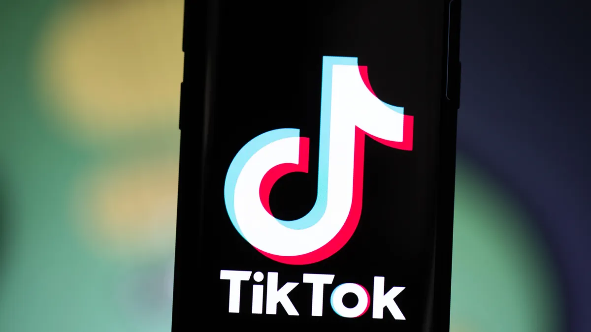 TikTok养号工具：有效模拟真实用户行为，提升账号的活跃度与标签精准度