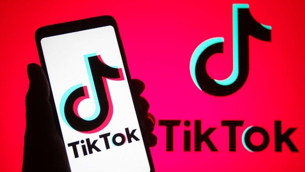 TikTok筛号软件：高效精准筛选账号，锁定目标受众