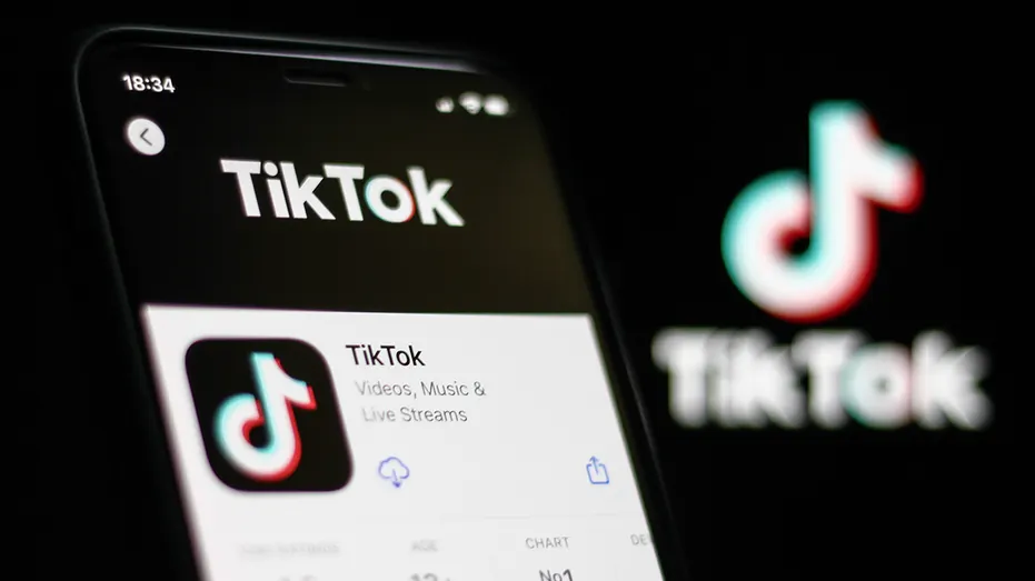 TikTok群发软件：实现多账号发送，确保信息在短时间内精准触达用户群体