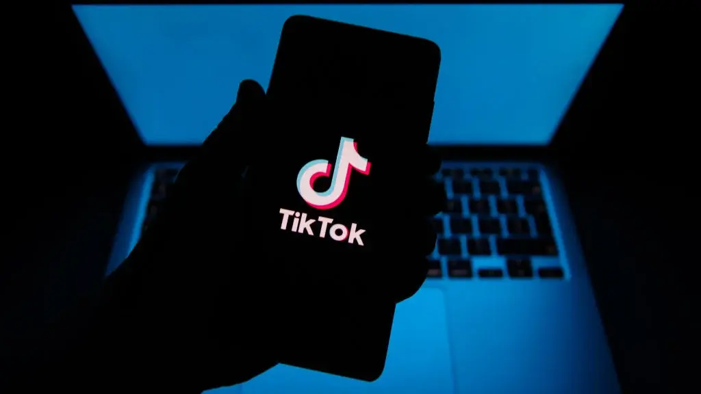 TikTok多开工具：账号多开构建私域流量闭环、实现跨平台协同运营
