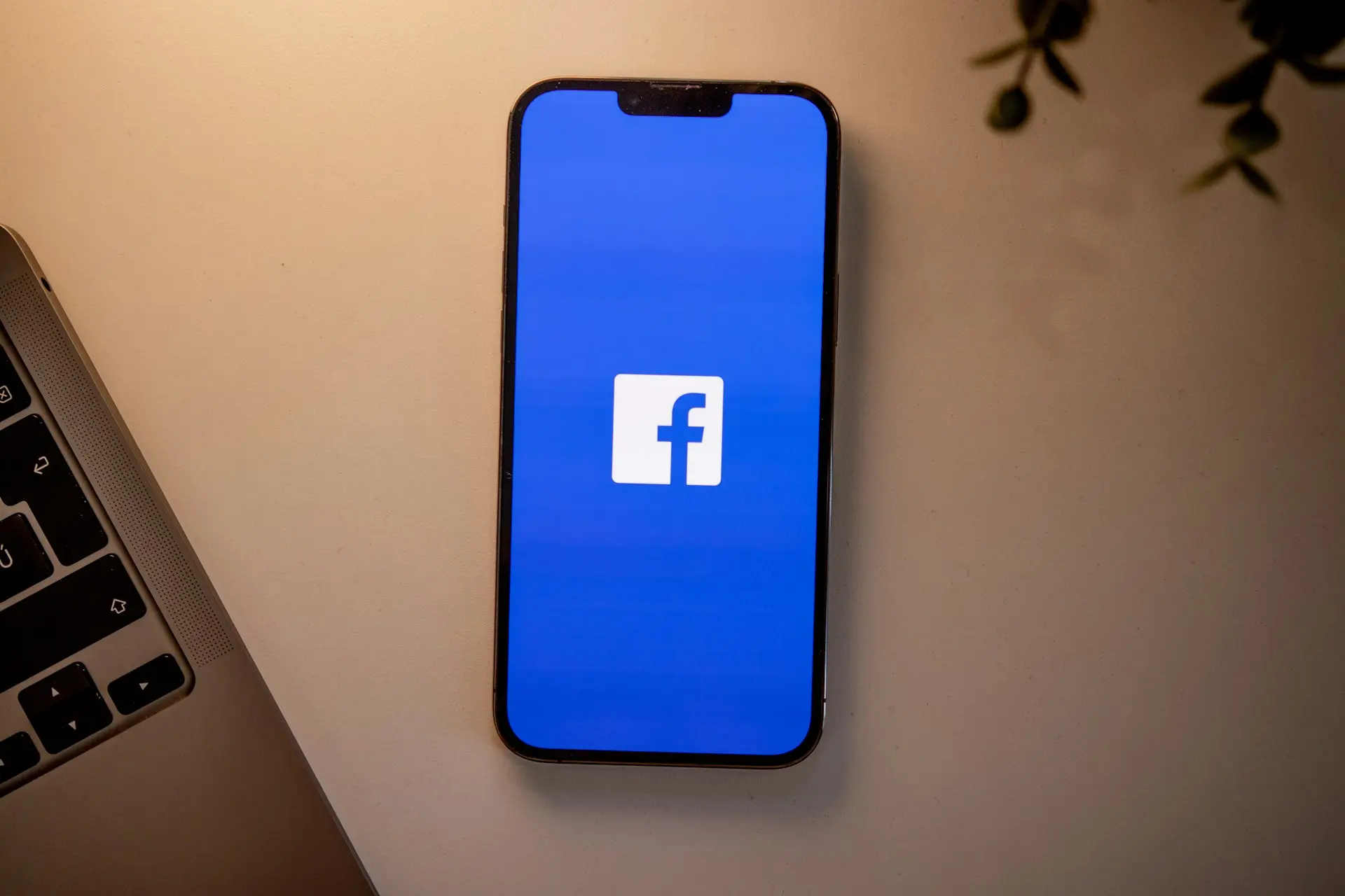 Facebook养号工具：提高账号的存活率和营销活跃度，实现精准获客与转化增长