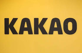 Kakao筛号工具:精准识别目标受众,助力企业实现长效盈利