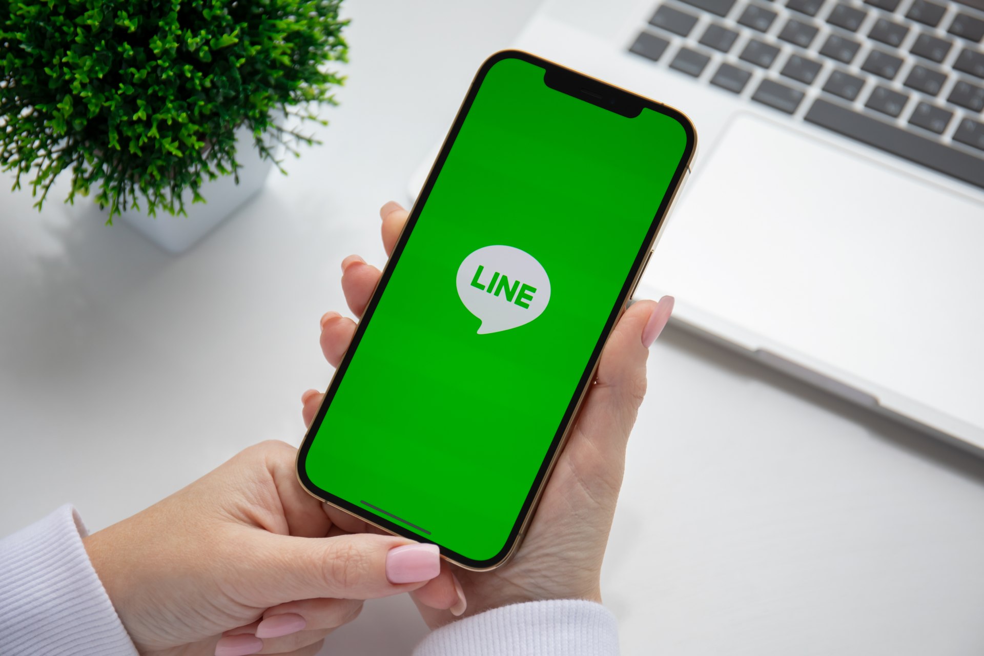 LINE计数器：精准统计流量来源、高效管理多平台账号