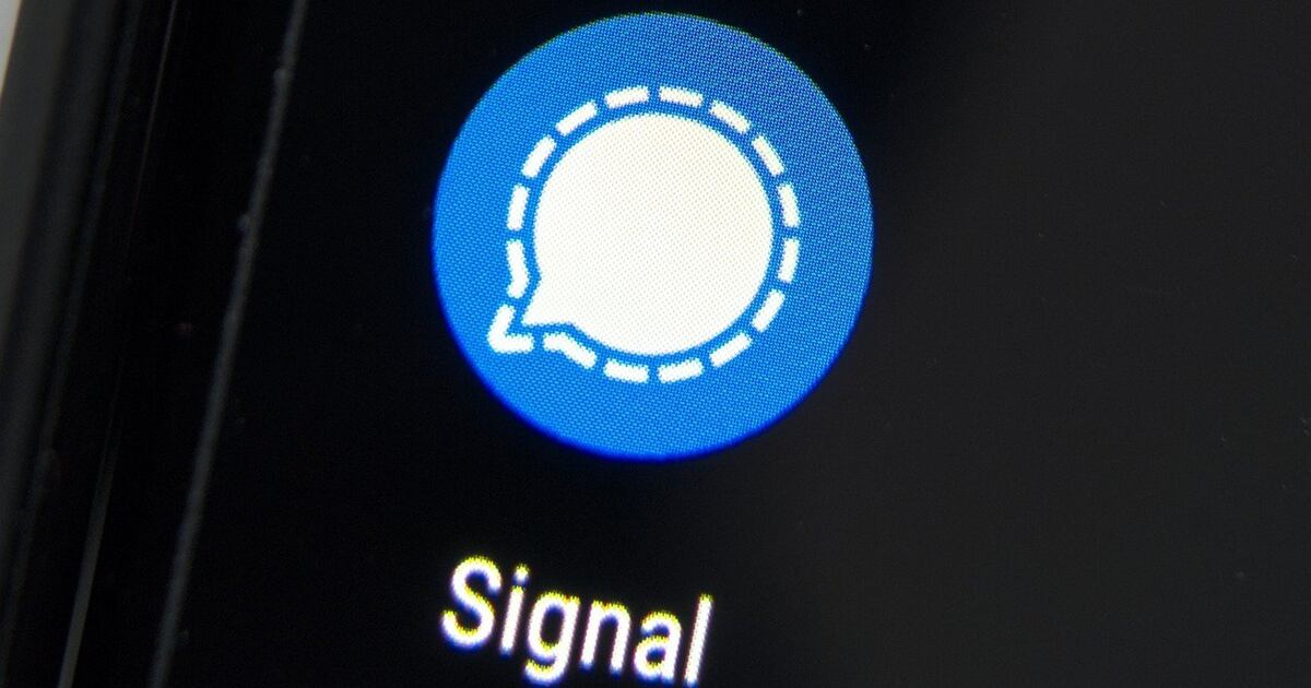 Signal筛号系统怎么用？高效精准的海外营销获客指南
