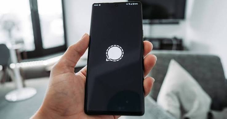 Signal群发软件：实现多账号批量发送提升营销效率，将企业信息精准传递给潜在客户