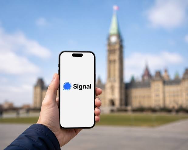 Signal计数器：精准量化流量来源、监控转化路径，提升全球竞争力