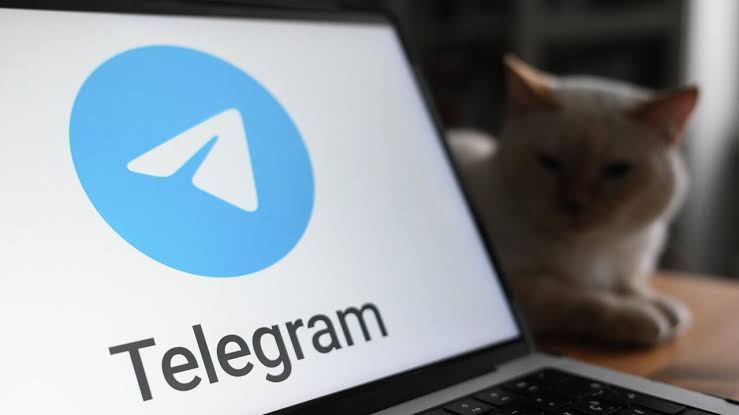 Telegram养号软件：模拟真实用户行为，提升账号的权重与稳定性
