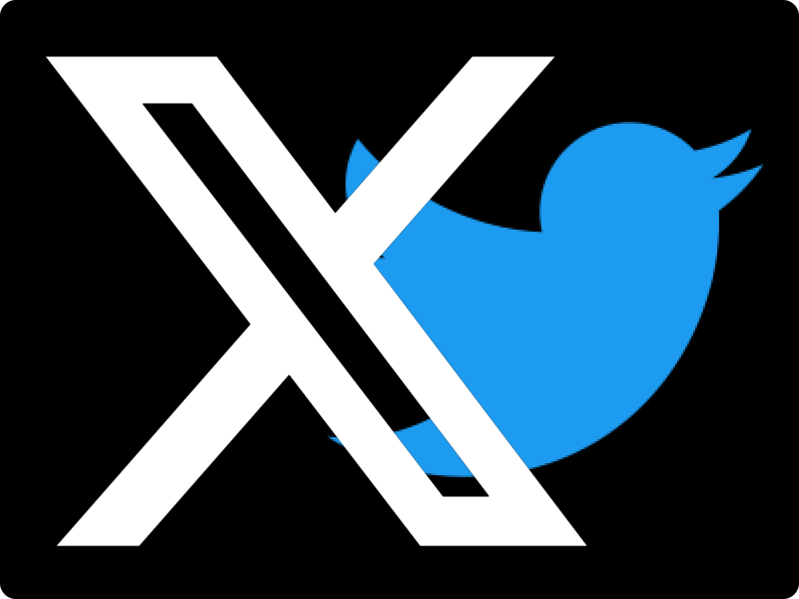 Twitter计数器：助力品牌在全球数字市场实现可持续增长