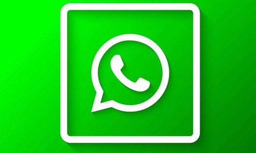 WhatsApp多开系统：稳定实现多账号管理，帮助企业快速构建私域流量池