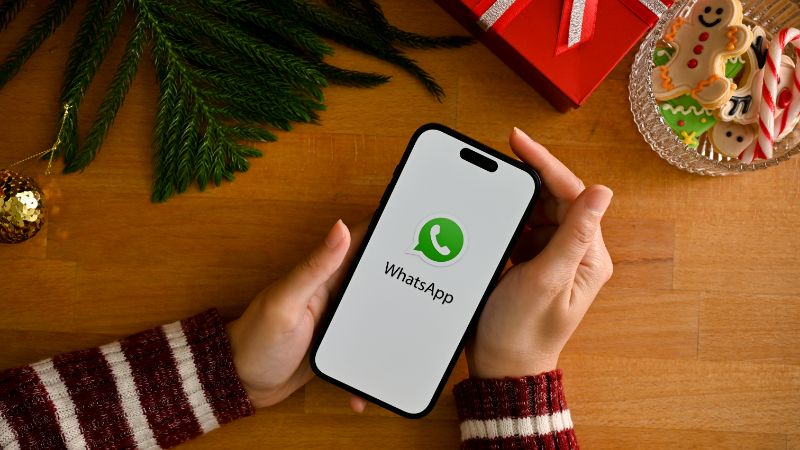 WhatsApp养号软件：提升账号权重与存活率，提升全球获客效能
