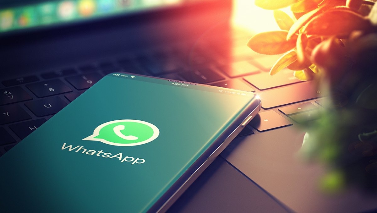 WhatsApp多开系统：实现多账号同时在线管理，构建高效营销体系