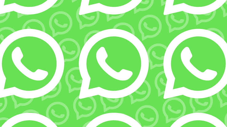 WhatsApp筛号软件：帮助企业高效过滤无效号码，确保营销触达的准确性
