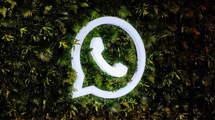 WhatsApp养号系统：账号环境隔离与用户行为模拟，降低封号风险并实现精准营销