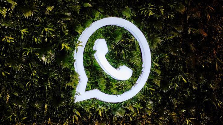 WhatsApp计数器：通过精细化管理实现长期的品牌价值沉淀