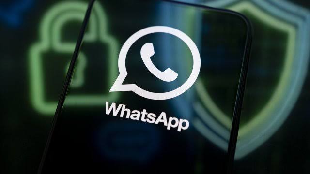 WhatsApp筛号系统：通过算法实时验证号码活跃度，过滤无效信息