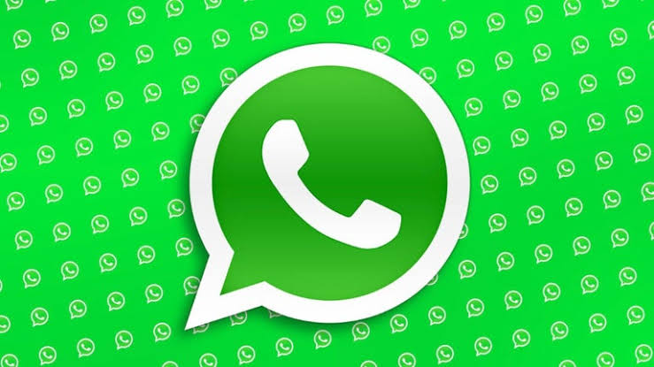WhatsApp群发系统：助力企业将产品信息直接推送至目标受众，实现高效率的营销触达