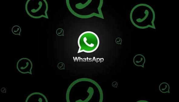 WhatsApp养号软件：确保账号在长期运营中保持稳定，助力业务高效转化