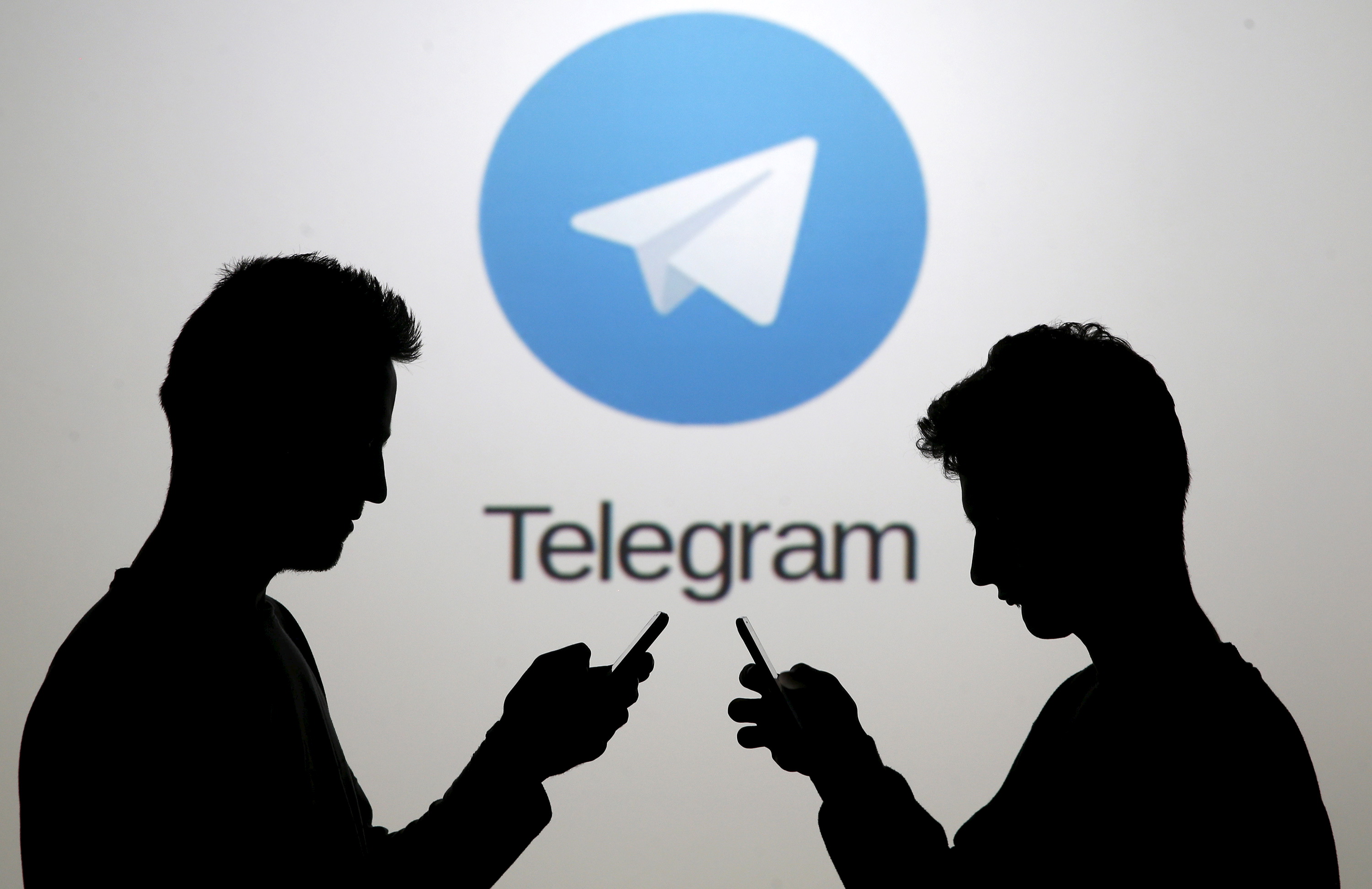 Telegram计数器：提供实时互动数据，优化社交策略