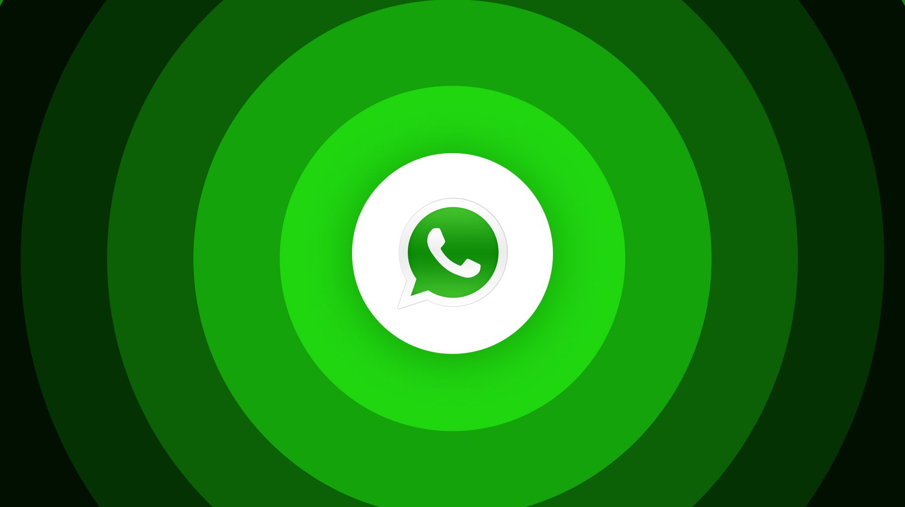 WhatsApp群控程序：高效管理，精准营销的新利器