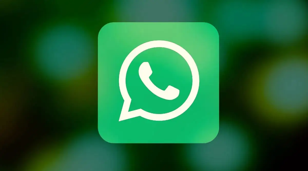 WhatsApp养号攻略：养号的6大误区你GET到了吗