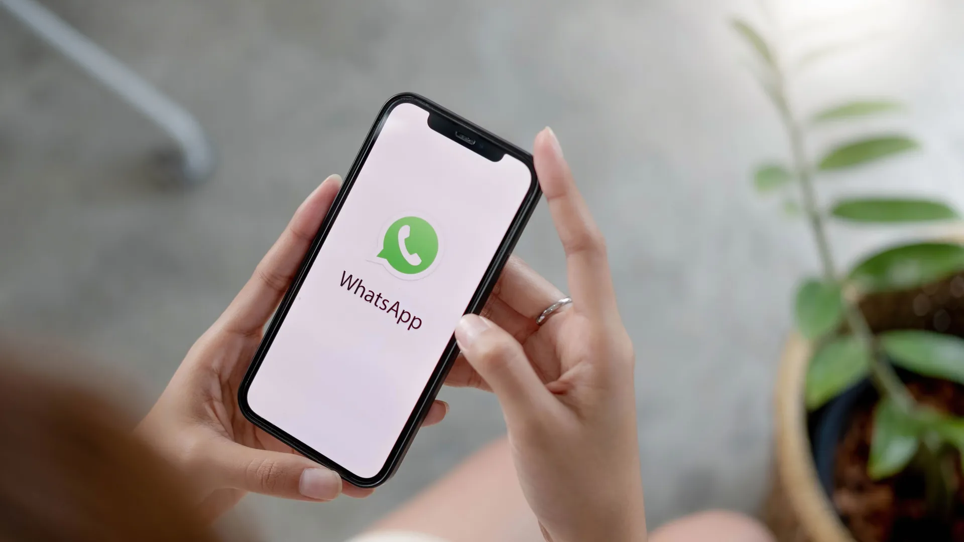 WhatsApp筛号软件：精准锁定活跃用户，提升营销转化