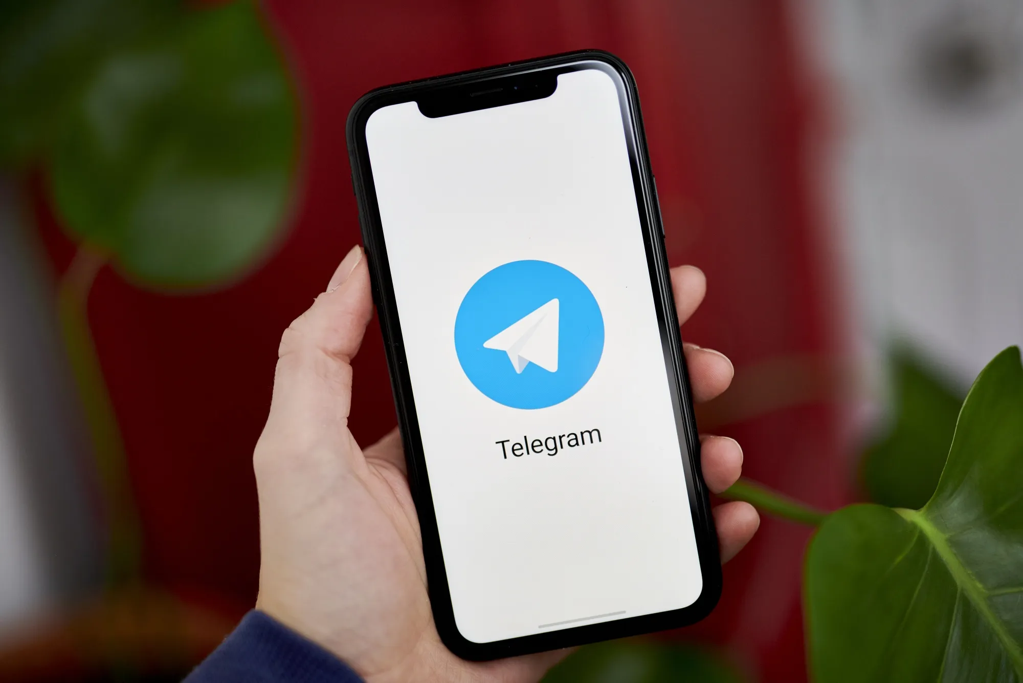 Telegram筛号工具：实时监控，让筛选更精准高效