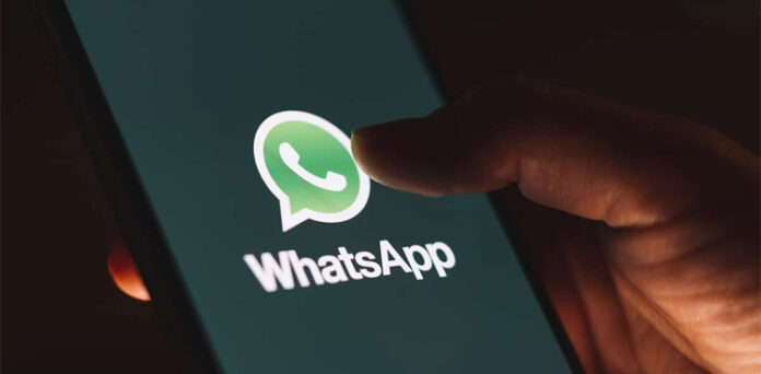 如何挑选高效的WhatsApp筛号软件？精准筛选，提升营销成功率！