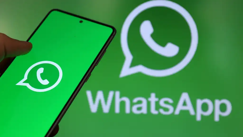 WhatsApp养号：保持账号活跃度，提高互动频率、增加好友与群组参与