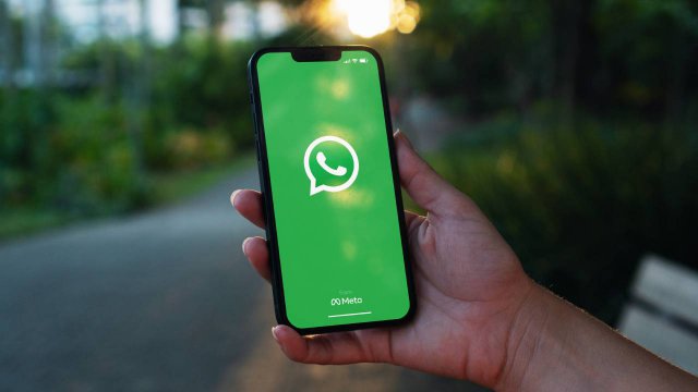WhatsApp养号：模拟真实用户习惯，避免被识别为机器行为，保护账号安全