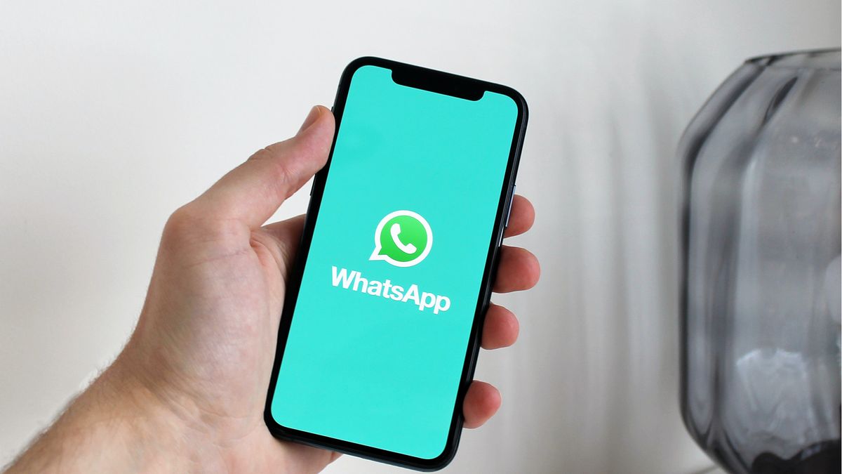 WhatsApp养号：快速过观察期的实操指南