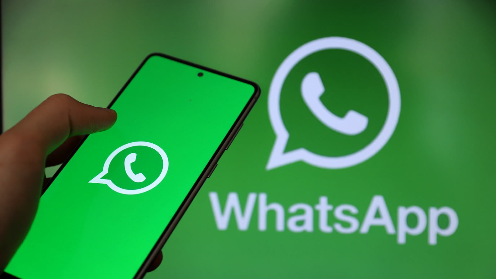 如何在WhatsApp养号期间提高回复率：提升互动与关系的关键策略