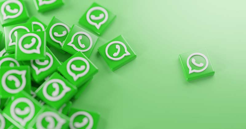 WhatsApp养号：如何通过群聊建立信任，提升账号权重与安全性