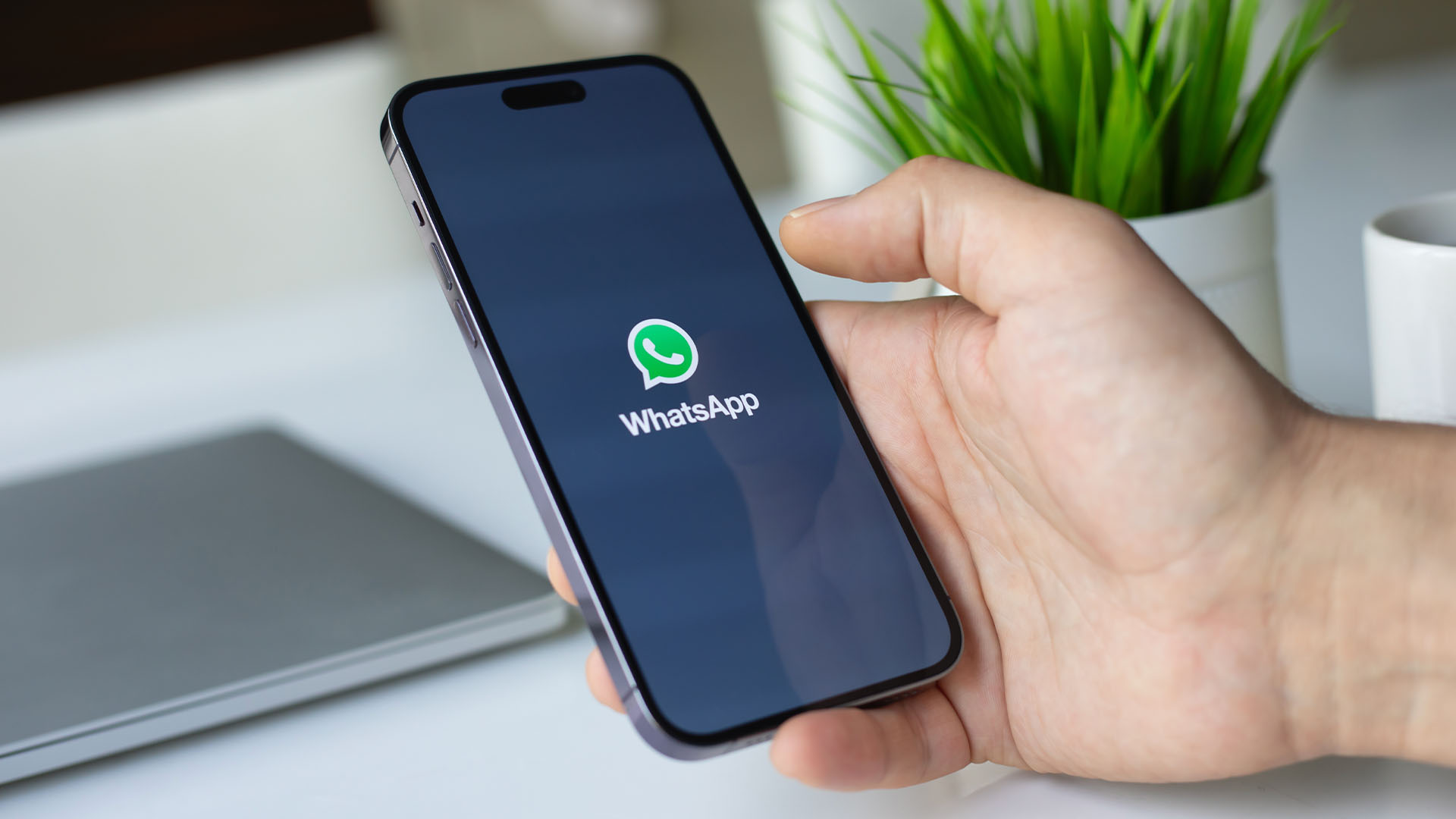 WhatsApp养号：保持账号活跃，有效提高账号权重，减少封禁风险