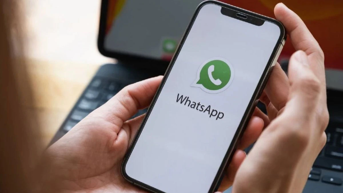 WhatsApp养号攻略：夯实账号权重基础，打造高可信度账号