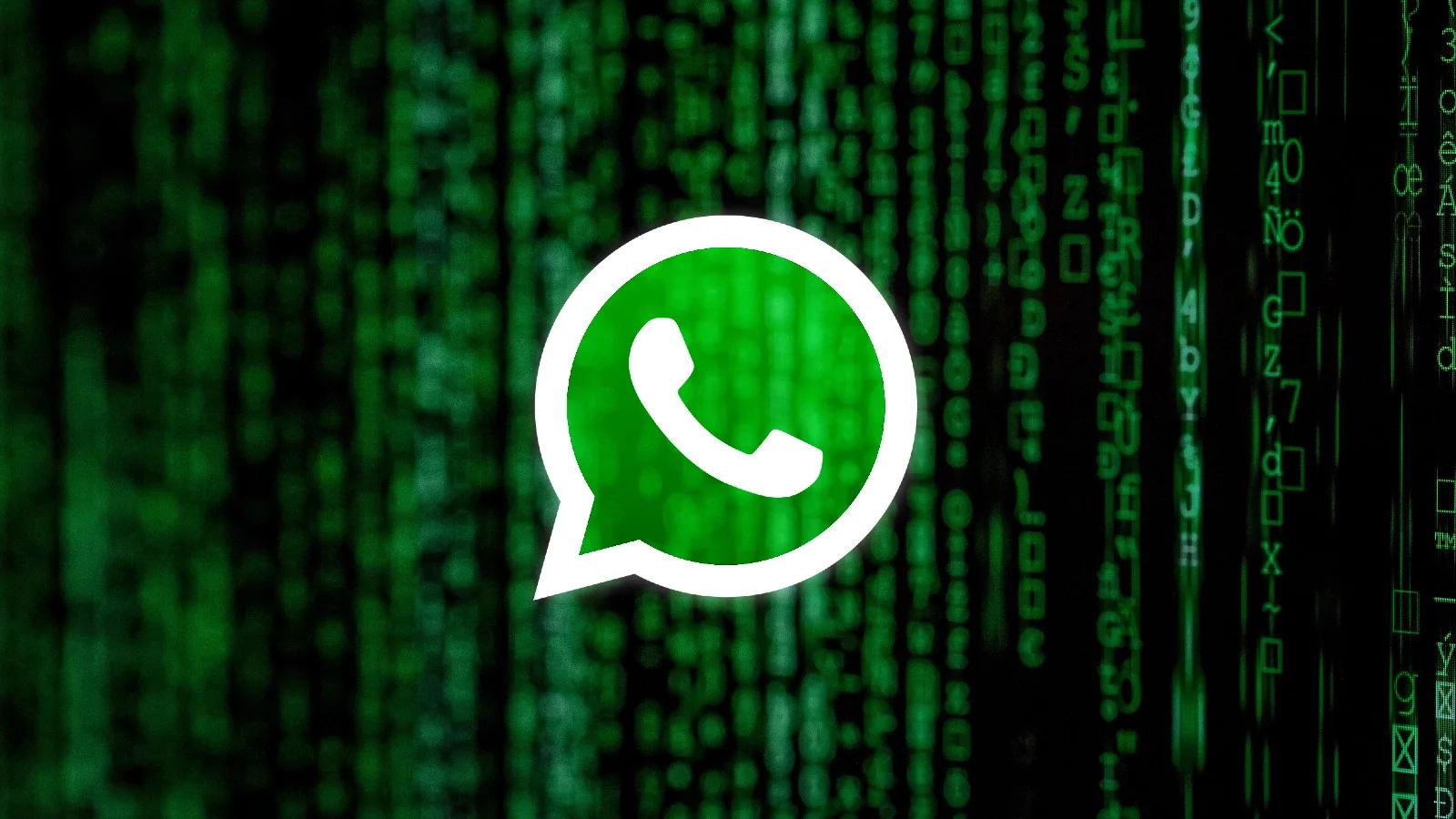 WhatsApp养号技巧：如何借助老号互动提升新号权重与安全性