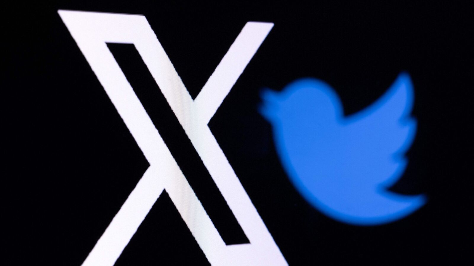 Twitter计数器：精准掌握社交节奏，助你科学追踪粉丝增长率