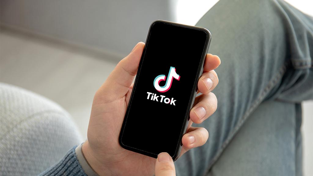 TikTok云控系统：通过定时功能赢得流量先机，让运营精准高效