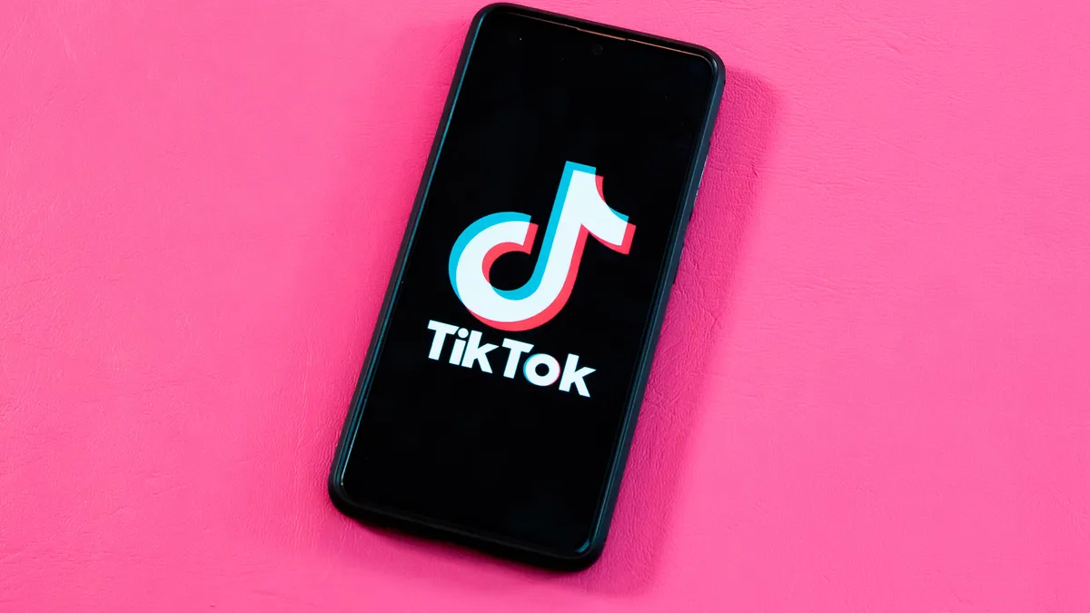 TikTok群控系统：自动化运营与数据优化双驱动，打造内容传播和粉丝增长闭环