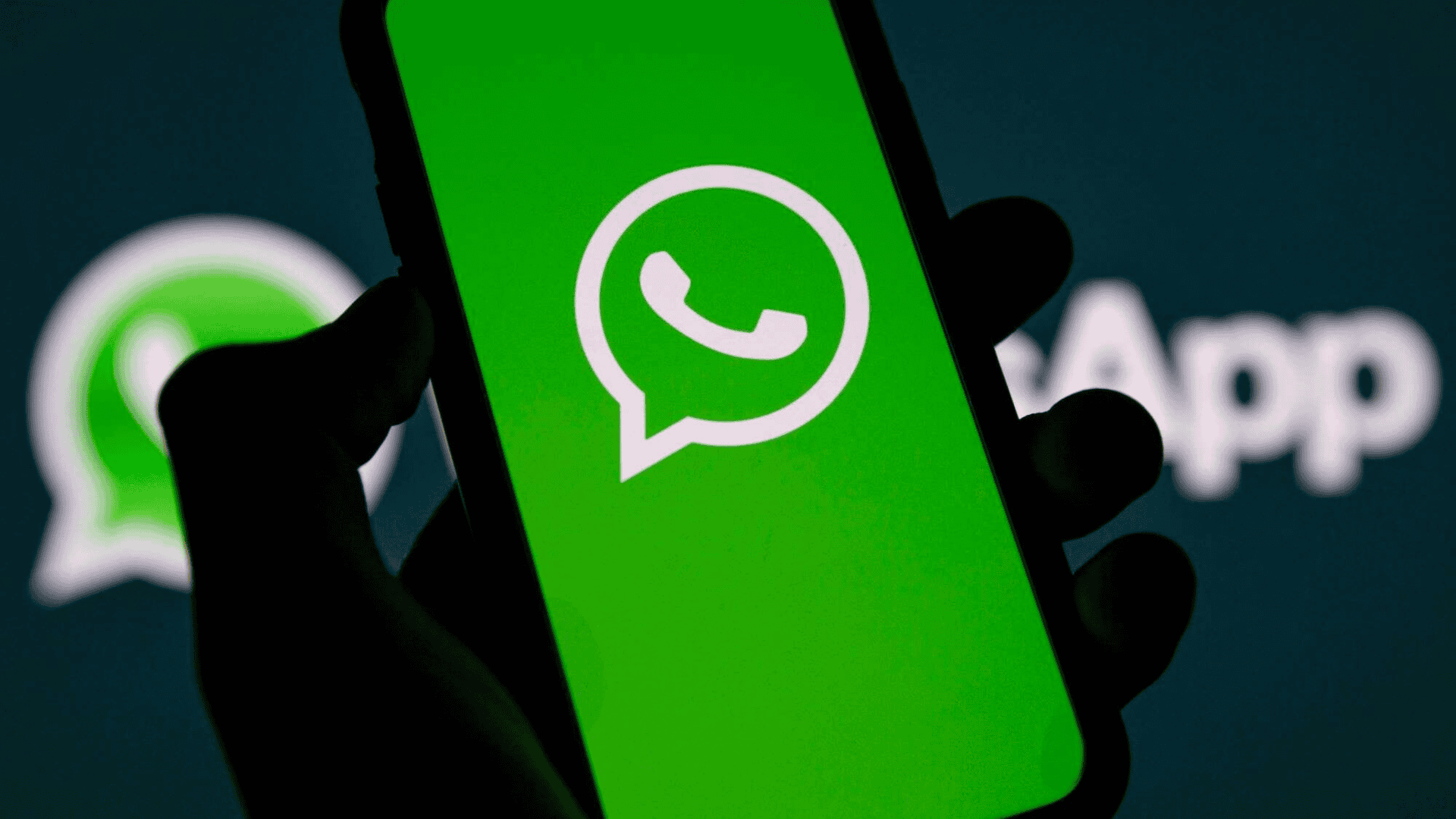 WhatsApp养号期间如何定期检查账号设置，构建长期稳定运营的安全防线