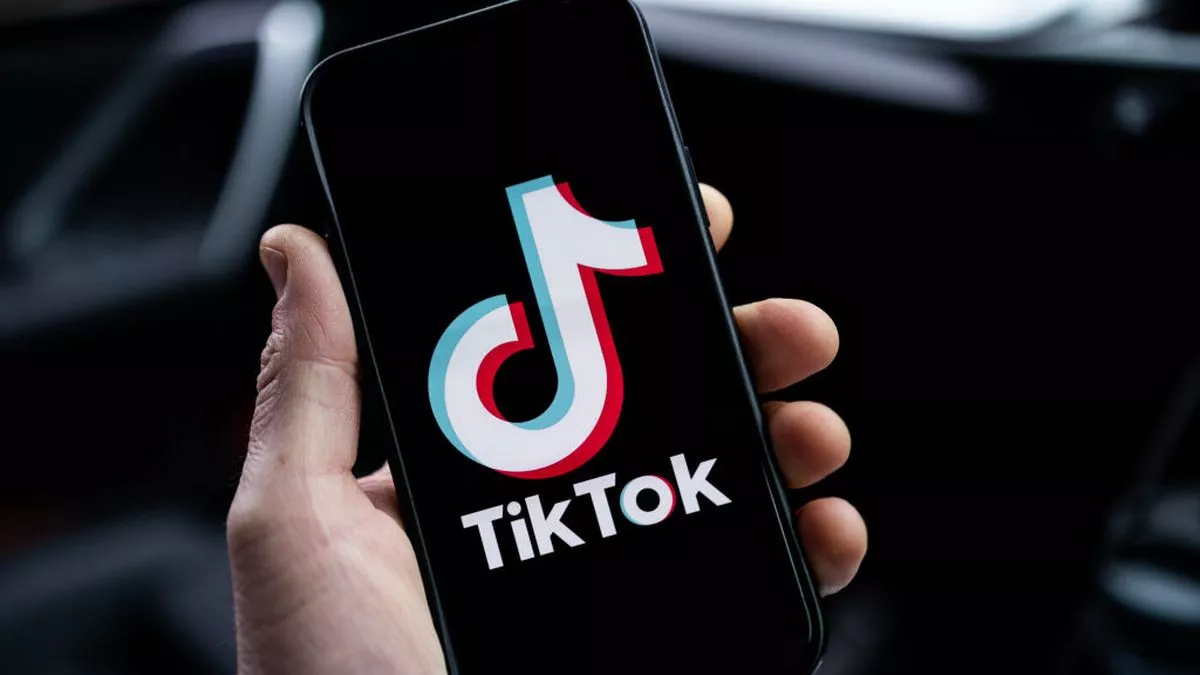 TikTok多开工具：构建高效私域闭环，实现从公域吸粉到复购变现的跃迁