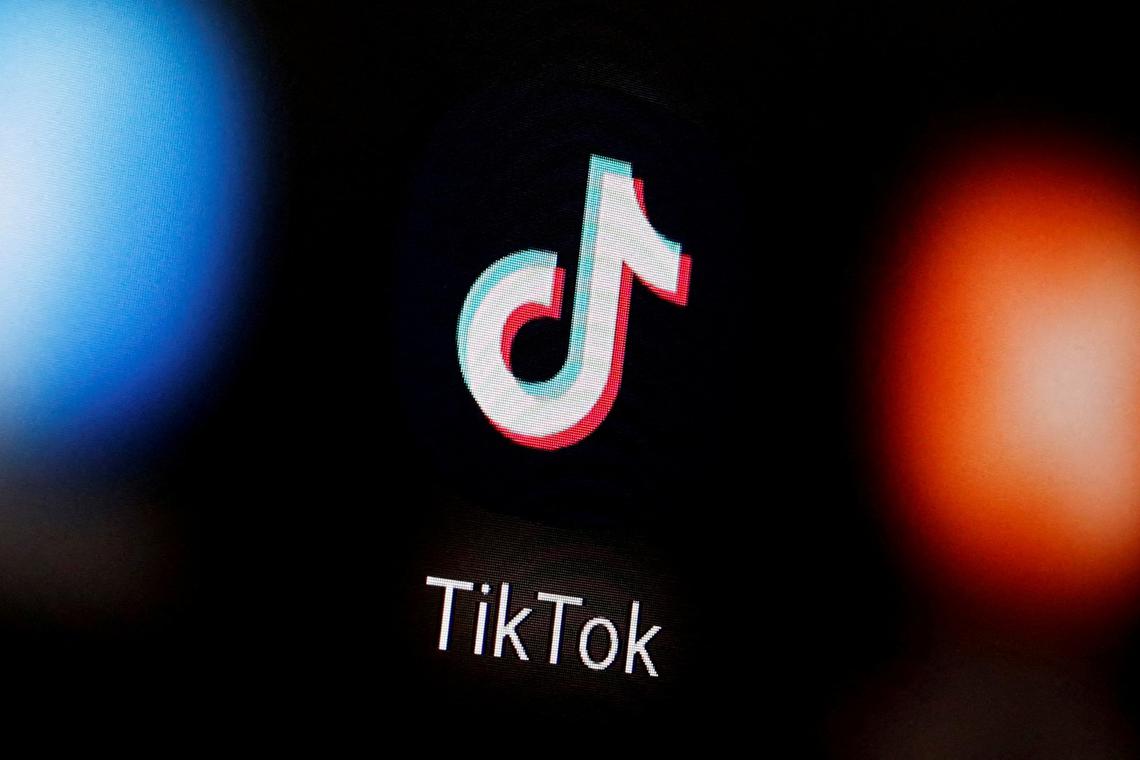 TikTok云控系统如何提升跨境电商运营效率：功能解析与实战应用