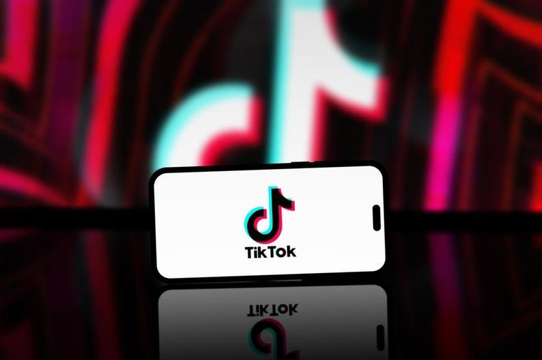 TikTok群控软件：多账号高效管理与精准营销实践解析