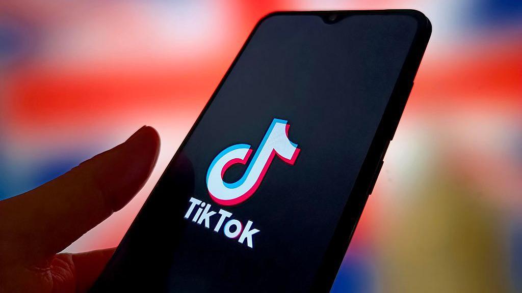 TikTok云控系统：多账号协同运营与智能群控功能深度解析