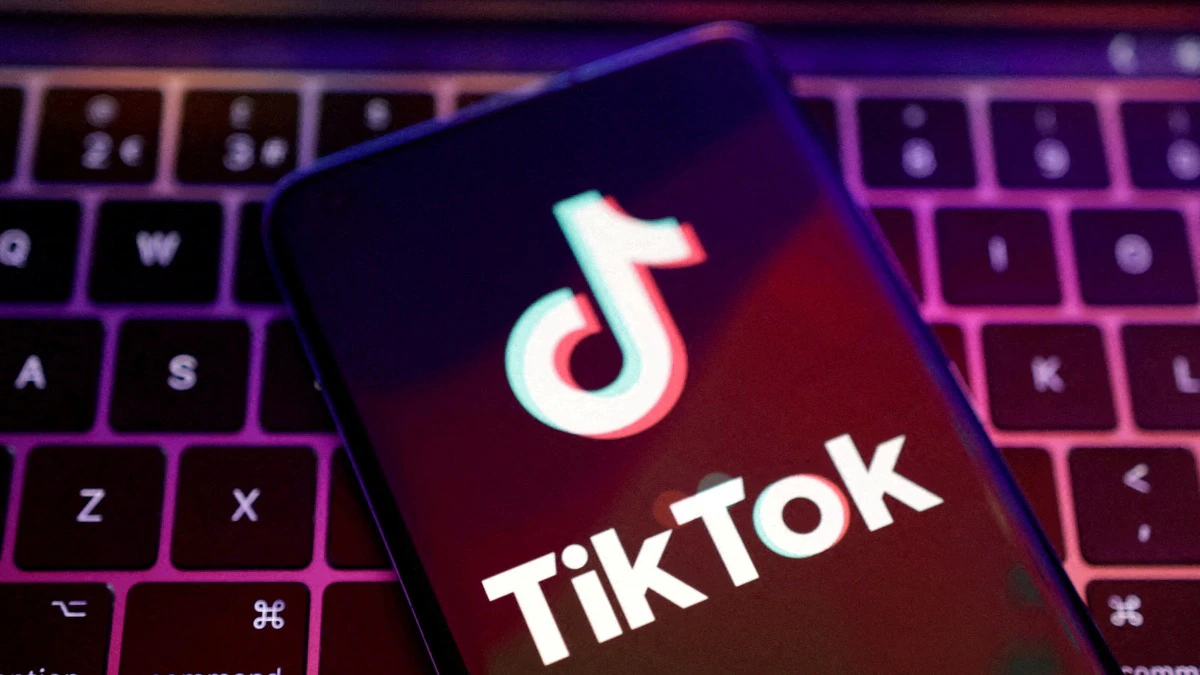 TikTok筛号系统:帮助企业实现从账号注册到运营效果的全链路管理 TikTok筛号系统:帮助企业实现从账号注册到运营效果的全链路管理