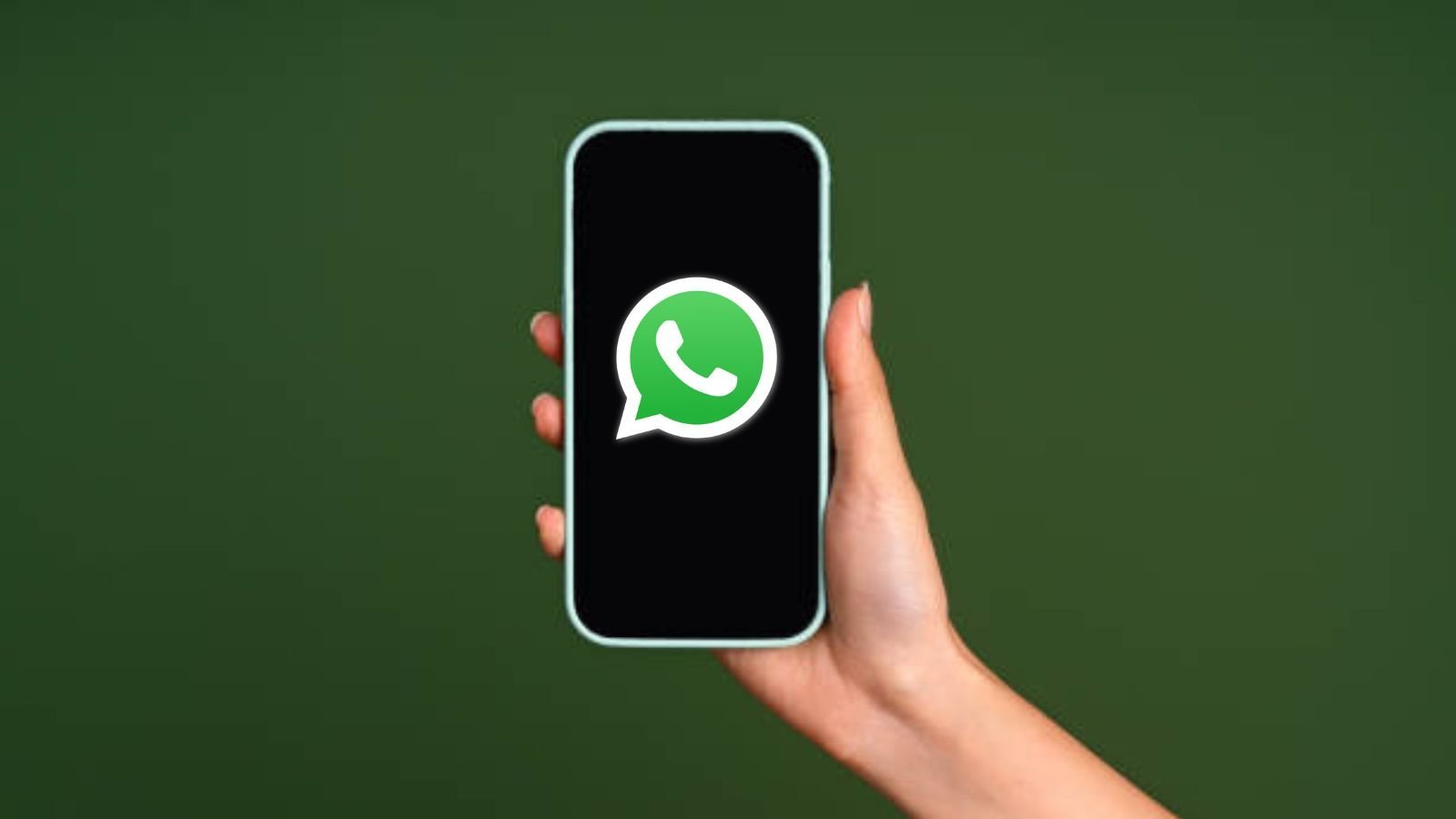 WhatsApp群控软件：企业级客户管理效率提升新范式