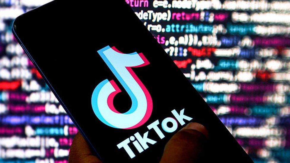 TikTok群控系统:多账号协同运营与智能营销技术解析 TikTok群控系统:多账号协同运营与智能营销技术解析