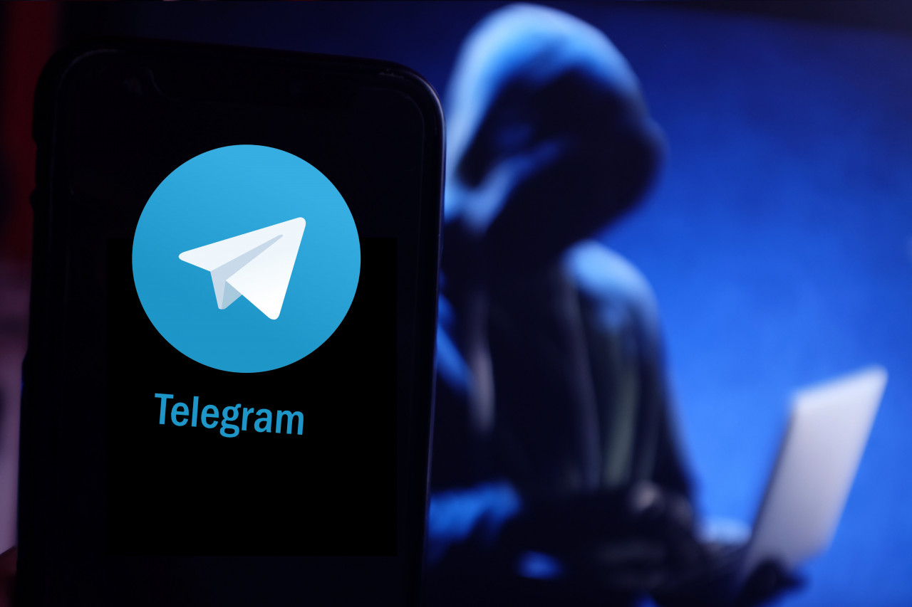 Telegram计数器：精准追踪粉丝增长的企业运营利器