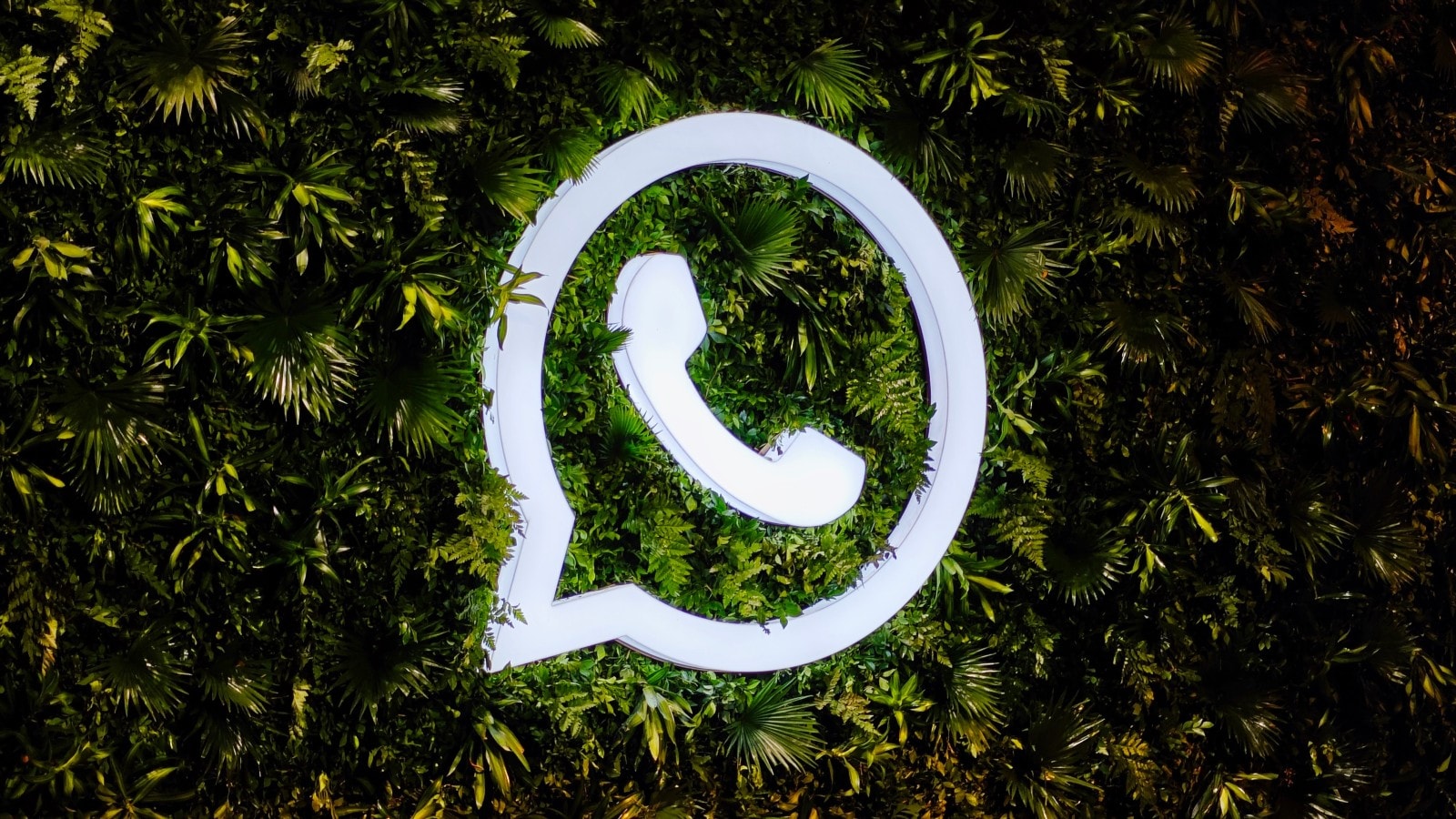 企业级WhatsApp多开软件:成为企业优化客户触达的关键工具 企业级WhatsApp多开软件:成为企业优化客户触达的关键工具